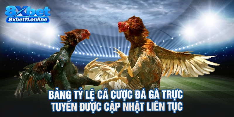 Bảng tỷ lệ cá cược đá gà trực tuyến được cập nhật liên tục