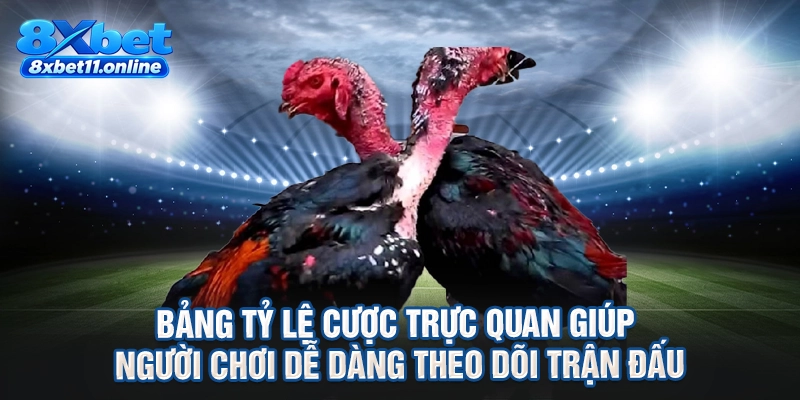 Bảng tỷ lệ cược trực quan giúp người chơi dễ dàng theo dõi trận đấu