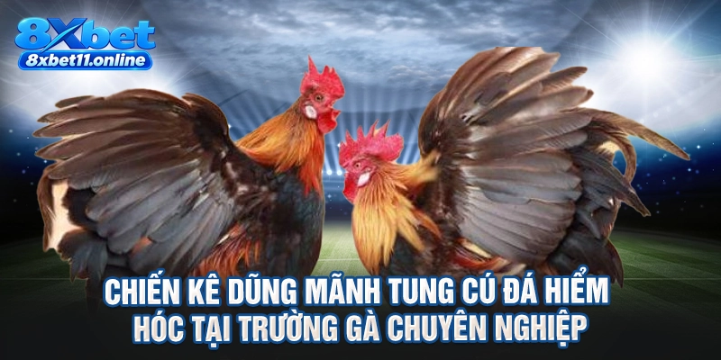 Chiến kê dũng mãnh tung cú đá hiểm hóc tại trường gà chuyên nghiệp